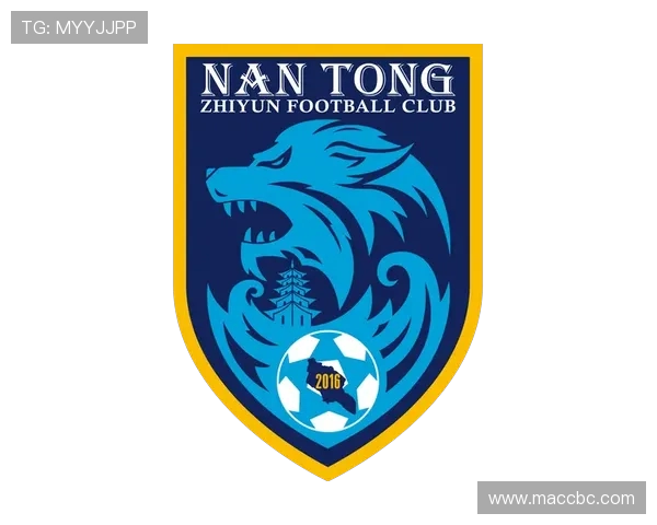 南通支云足球俱乐部崛起之路：从地方球队到职业联赛的新力量