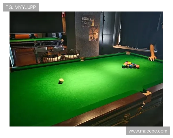 沉浸式探索台球魅力从技巧竞技到文化艺术的全面解读