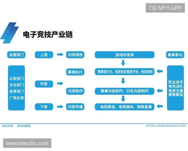 电子竞技崛起背后的科技创新与全球产业链发展趋势分析