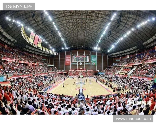 浙江广厦：深耕篮球文化 打造国内顶级体育品牌的跨越式发展之路