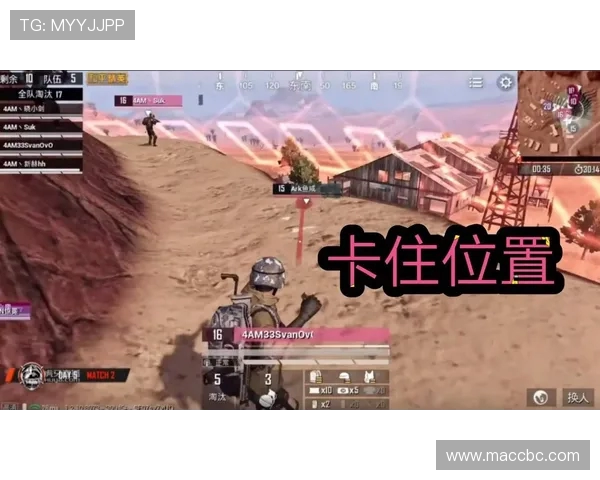 和平精英战术解析：WE战队反击体系的深度剖析与实战应用