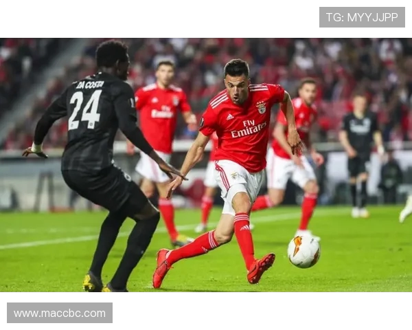 本菲卡再度崛起打造欧洲绿茵青春风暴引领葡萄牙足球新纪元 本菲卡再度崛起打造欧洲绿茵青春风暴引领葡萄牙足球新纪元