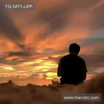 周辰弋